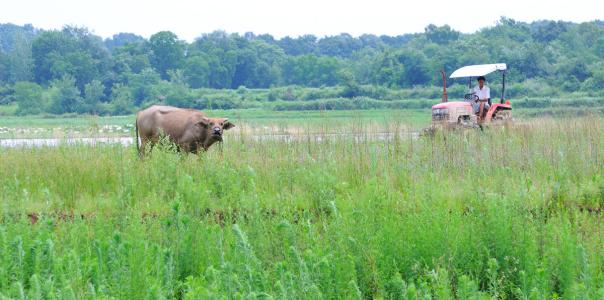 18�괺���С��������(g��)��(g��)׌���r(n��ng)��n��