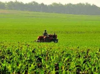 ����ʡ�l�Ŵ����䲥�J��49.45�|Ԫ