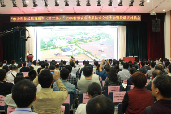 �r�I�Ƽ��ɹ�ֱͨ܇ƽ�_�՝u���� �r�I�Ƽ��ɹ��Y�������a�I֮·Խ��Խ��  ��D��  �޸�2221.png