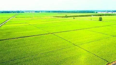 �r(n��ng)�Y����Ҫ����ʾ�����һ��Ҫ���׵Ďׂ��c ��