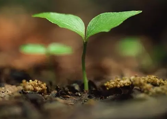 12��1�����@Щ������ˌ���ʩ��