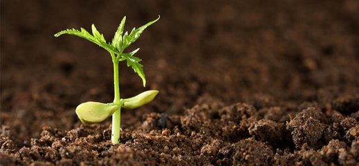 �������ϺϷ��������Ļ�������ޏͮa�I���lչ�ǽ��c