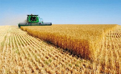 �r�I�r�岿���_�l������͸¶�p�ʜpˎ������