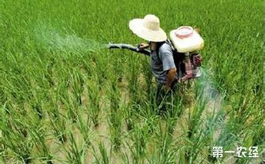 �r�I�����҇���ǰ���ꌍ�F���������L