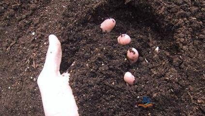 �ЙC�����҇��r�I�е������cǰ������