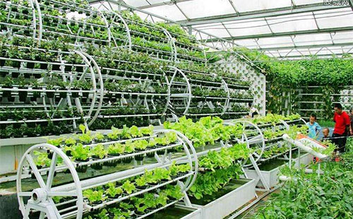 �r(sh��)�����r(n��ng)�I(y��)�c�ʘI(y��)�����������B