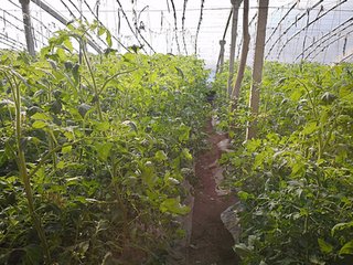 ɽ�|����ˮ��һ�w�������M(j��n)���ʜp����Ч