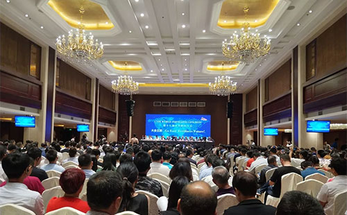 ��ʮ�ߌ�������ϴ�����|��ʡ��������_��Ļ