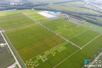 Һ�w�����Ј����l(f��)�ڼ�