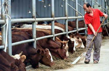 �P�����_2018ɽ�|�r��ѭ�h���� �߷�Փ����֪ͨ����һ݆��