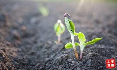 ������Ⱦ���η�ȫƱͨ�^�����c�O�y�����rˎ��������ؓ����؟�Σ�