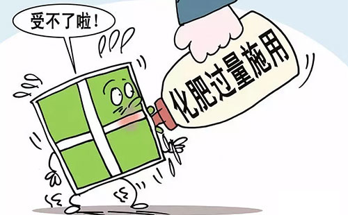 �҇����������ʲ������ɞ�W�g��������Pע�Ľ��c