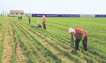 ˮ��һ�w���ġ����~������������Ч �r(n��ng)������