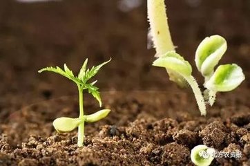 ����9�£�4헷��Ϻ������{�턩�y�������˜ʌ�ʩ��