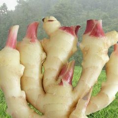 ΢�������׌�����Gɫ���a(ch��n)