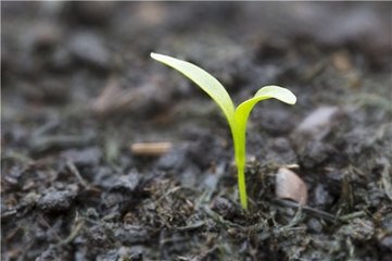 2018ȫ�굪��⛷���r�P�c���ИI��ů�����w�r���ϝq