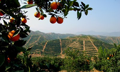 �ؑc�_��1.7�f������ԇ�c�ЙC���������