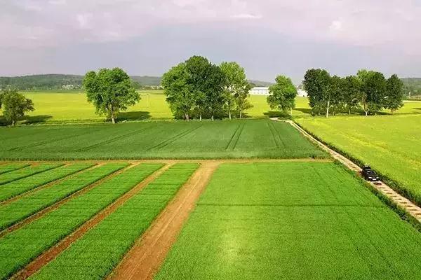 2019�����سа��ж�N�a�N��զ�I��