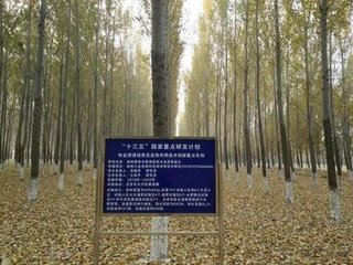 �˹������ܵι�ˮ��һ�w�����༼�g(sh��)�wϵ���H�I(l��ng)��