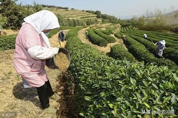 ���ϣ����˲��ЙC��������� 6ԇ�c�h���У���Ӌʾ����e�� 10�f��