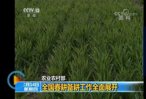 �����l(f��)�\�������\�M���{(di��o)���������p����......Ҫ�q��