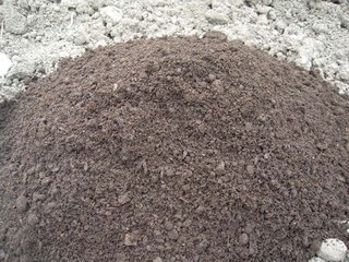 �@���ЙC�ʾ�Ȼ�̘I(y��)���g�@ô��