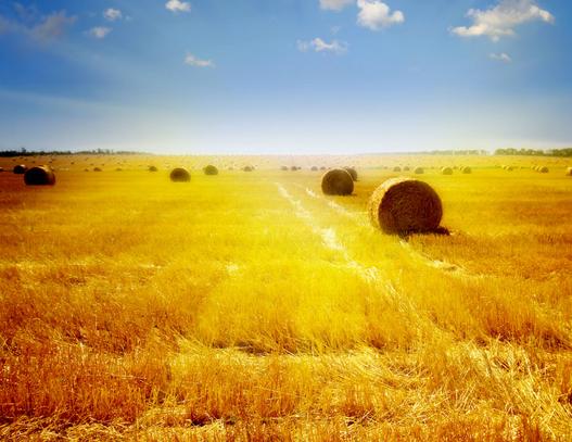 �ذ���ɽ�|�P�]��̭��ǧ�һ�����I����Щ�������rˎ�S���ϰ���