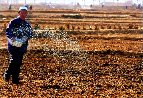 ����ʩ��æ���󔵓������ʵġ�؛�\֮�á�