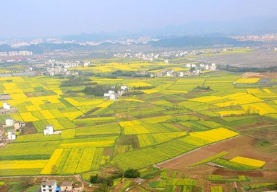 ���Ͳ˃ɜp�����g��ʹ�����rˎ���p��25%