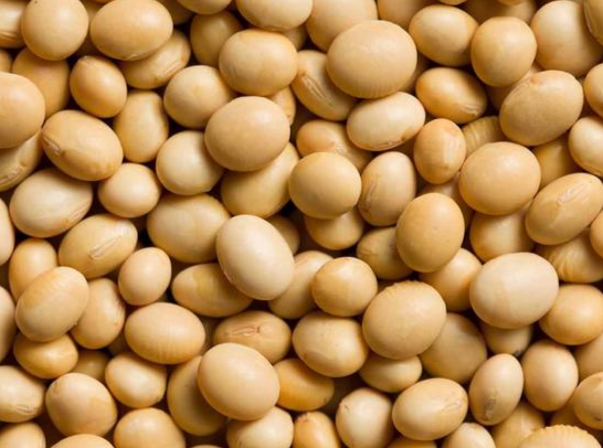 �������󶹃r(ji��)�񱻵͹� ���ڻ�?q��)���(w��n)���ϝq