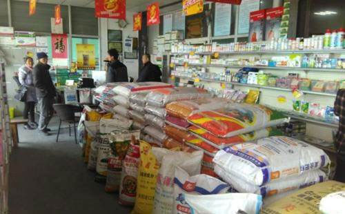 2019�껯���ИI(y��)���R��Щ��(w��n)�}��