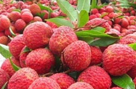 �r��ı������a�����l1.8�K�������ۃr18�K���������ĳ��ˆ��}��