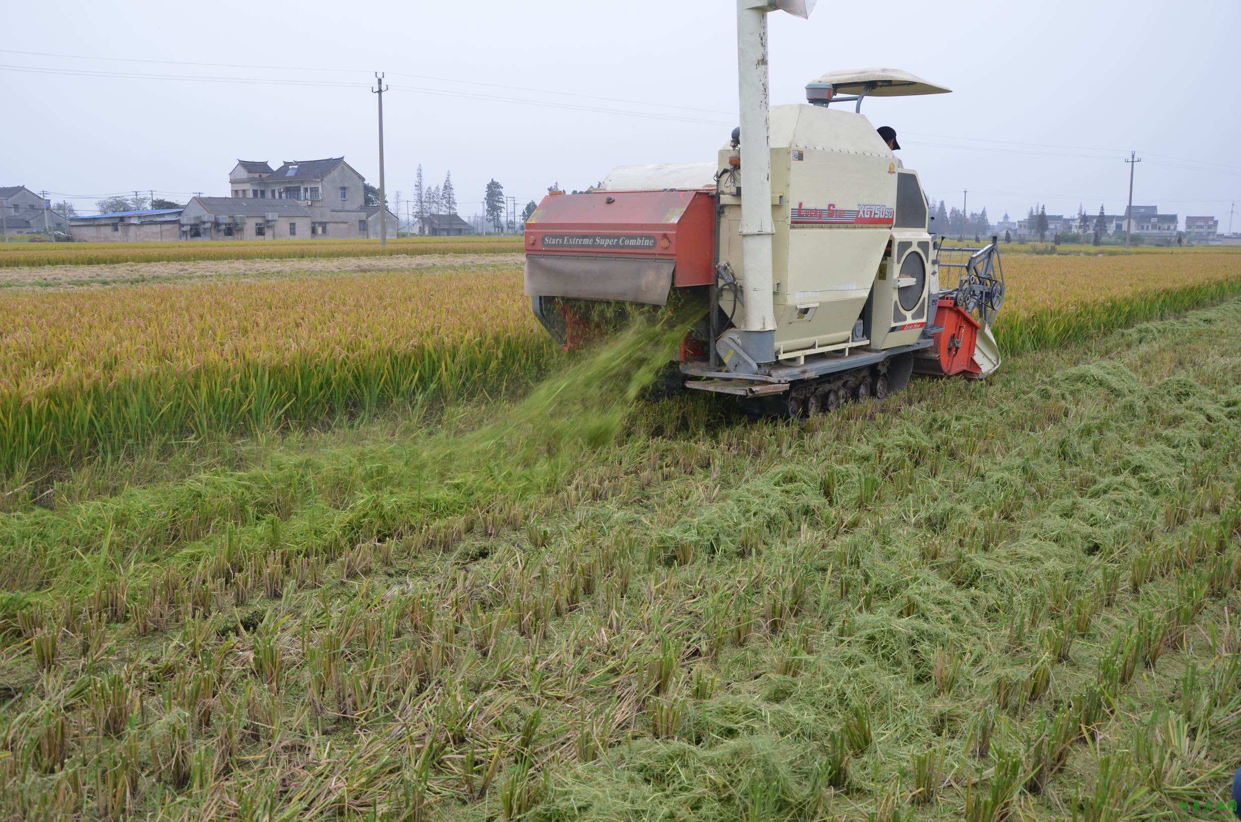 �T�������ИI�˜�ȱʧ ˮ�ܷʘ˜���ӆ��������