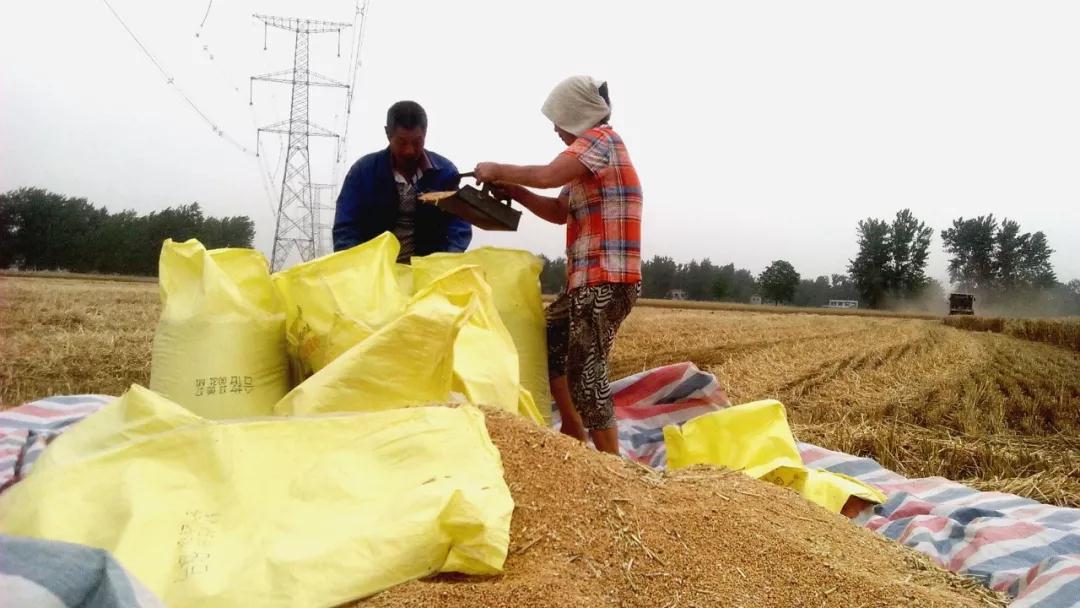 2019��9���Ї����ڻ���249�f�����M��111�f��