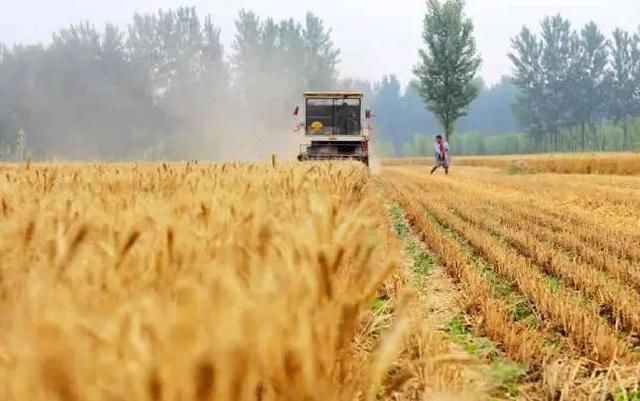 ������m���� �a���|���r��Ҫ������⡱