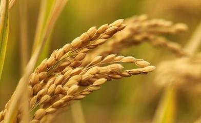 �����a�^��С����ُ�r����m���� �������С����ُ�r���Ƕ���