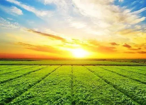 �㽭�؎X����1.2�f�����ʜp����Чʾ��Ƭ