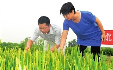 �����ؔ��600�fԪ ֧�ֻ��������L