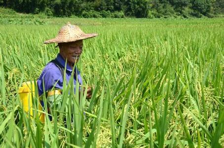 �ຣ�����Ҍ�(sh��)��ָ��(d��o)�����ƻ����r(n��ng)ˎ�p����Ч�Є�(d��ng)