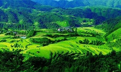 �������_����ʩ�ʼ��g�@�r�I�r�岿�϶�