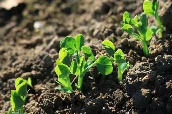 ��Ҏ�����ϸ�����rˎ�����a���N���ߌ��{��������Ⱦ؟���ˣ�