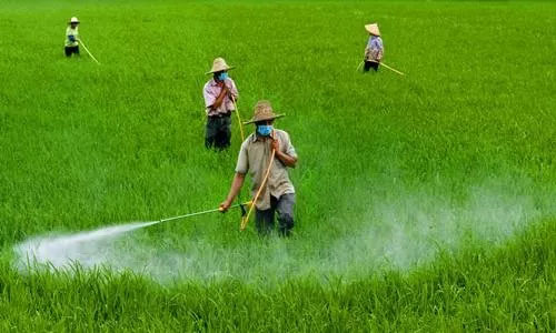 �����͸������ٵ���