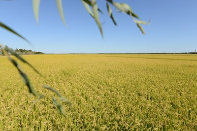 ׌�r�aƷ�����G�������ό���ͨ�������˲��ЙC���������ԇ�c�h�Ŀ����ƪ��