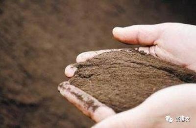 �r(n��ng)�I(y��)�r(n��ng)�岿�Ӵ��a(b��)�N���ȼӿ��ЙC(j��)���ƏV��(y��ng)��