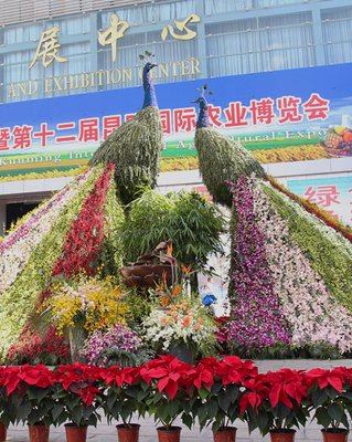 ��ʮ�����r�������m�_Ļ 15�҅�չ��I(y��)��ؚ������ٛ251���ЙC��