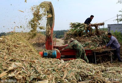 ���ִ�W�����ˆT�°l��׌�ն���׃�U�錚�� �D����Һ�w���w���ЙC��