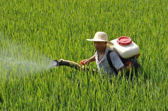 �r�I(y��)�r�岿������Zʳ���ﻯ���rˎ�����ʷքe�����39.2%��39.8%