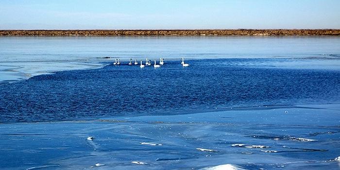 ��⛷�֮�����Ʈa�����ڴ��^������