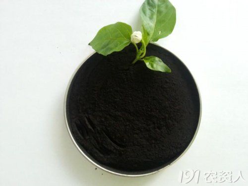 ��ֲ������ʺ��C������(sh��)���M(j��n)�������l(w��i)��(zh��n)