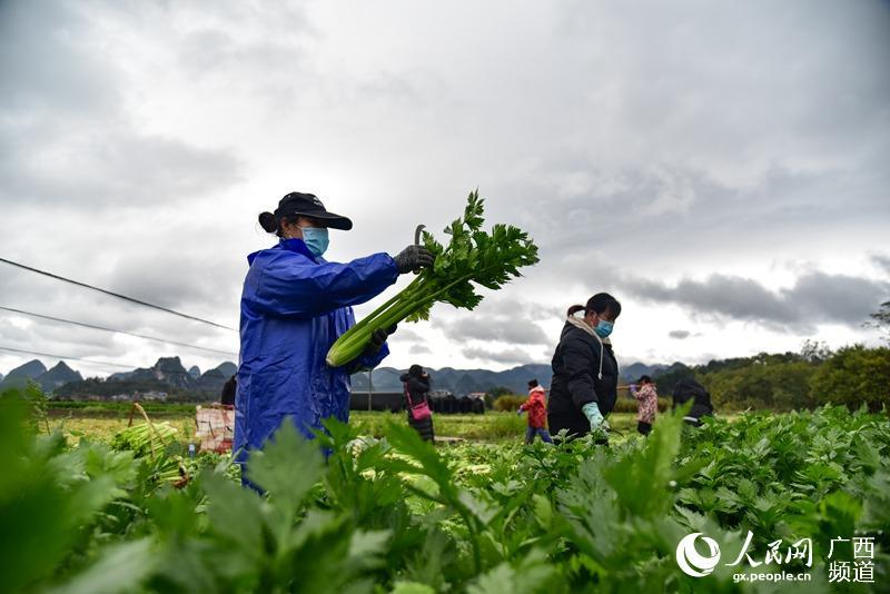 ͻ�l(f��)����o�����������Ӱ�